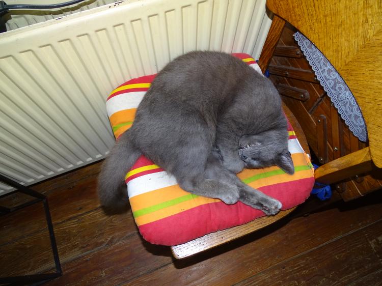 Dimanche au calme