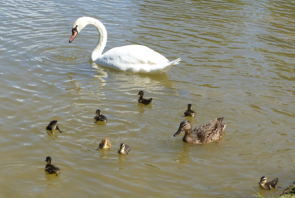 A canicule annoncée, photos rafraîchissantes