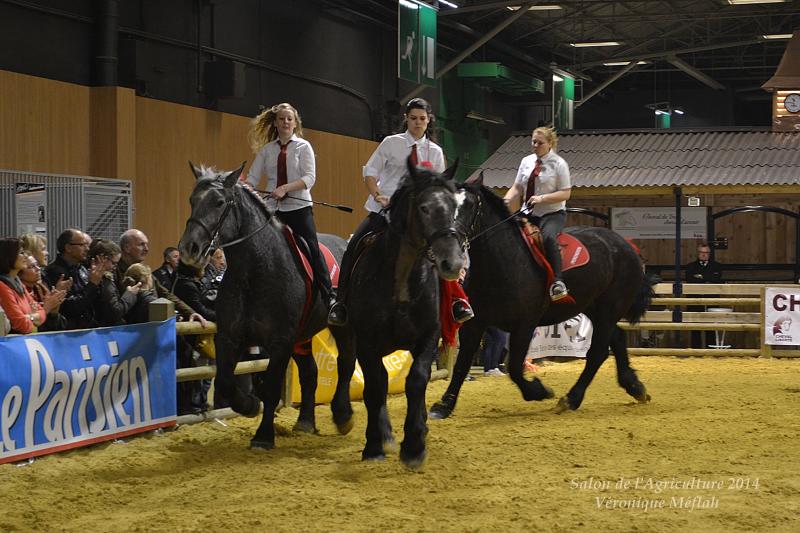 Salon de l'Agriculture 2014 : Le Cob Normand