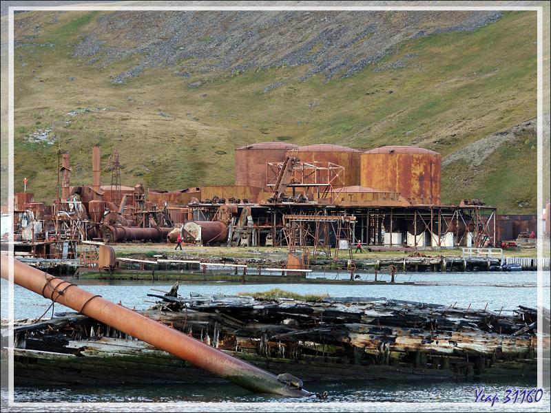 L'ombre a envahi Grytviken, accentuant le sinistre de ces lieux où des milliers et des milliers de baleines, autres mammifères marins et oiseaux ont fini dans ces fours à huile - Géorgie du Sud