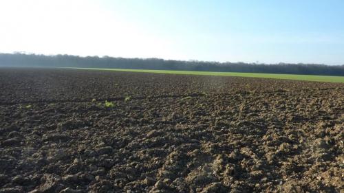 "Baladouce" - Mardi 26 janvier 2016