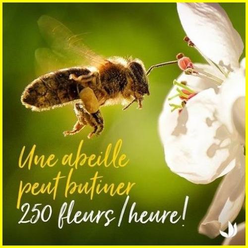 *☆*:;;;;;;:*☆* Notre Planète *☆*:;;;;;:*☆*
