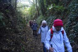 La balade du 14 novembre à May-sur-Orne