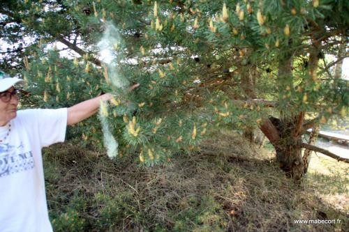 Lettonie du 13 au ....