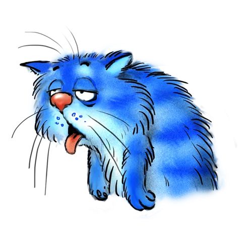 Chats rigolos