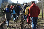 novembre... du 14 au 20
