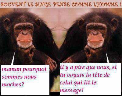 Humour du vendredi ... !!!