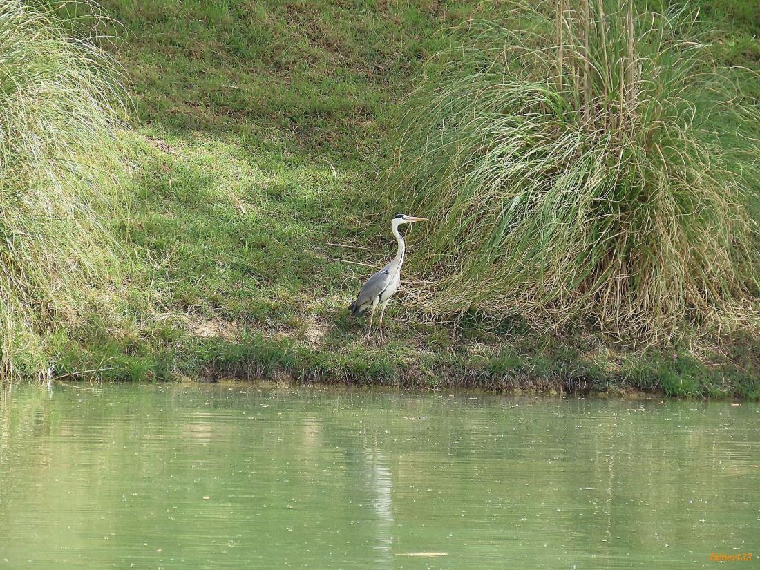 une pause à Puylaurens