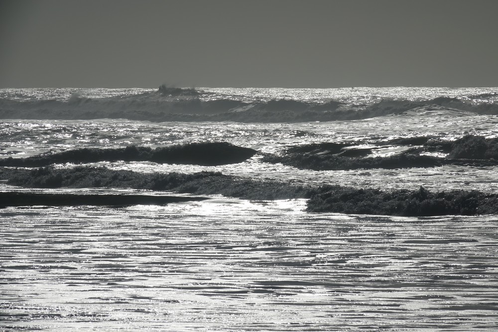 Balade au bord de l'Océan Atlantique - février 2019...