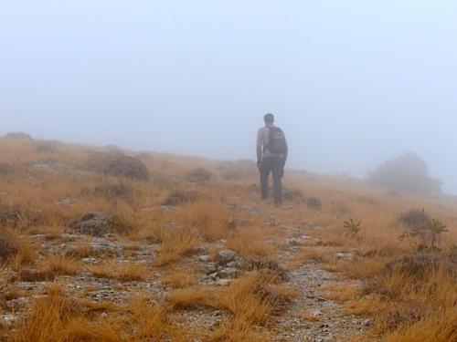 Roque Forcade - 2