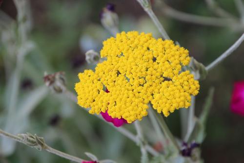 Chambre d'ôtes "Haut-Jardin" à Vignoux-sous-les-Aix