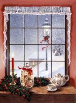 J'ai survécu à Novembre ..