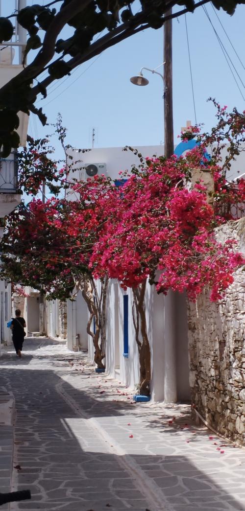 PAROS en couleurs !