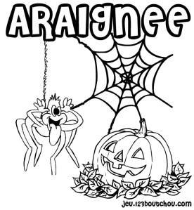 coloriage-araignee-2
