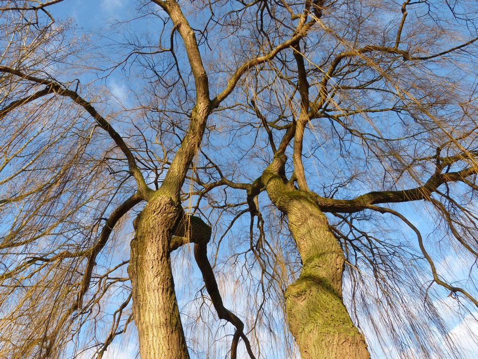 Le bonheur dans la nature