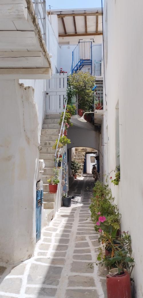 Les verticales de PAROS...