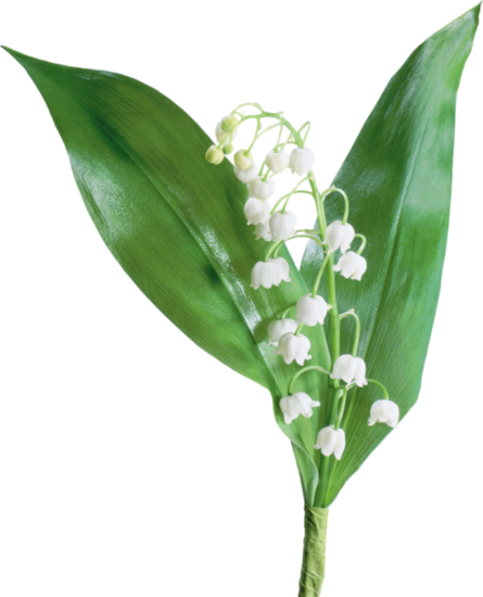 Image du Blog lafannette.centerblog.net