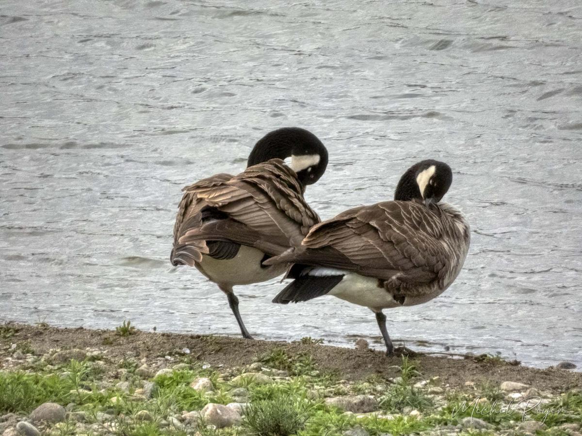 A L'Ecopôle du Val d'Allier dernièrement