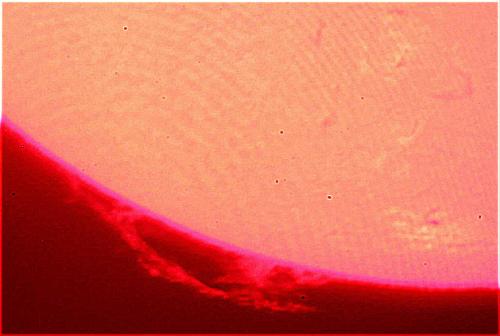 28 juillet 2013 : PST Coronado - détail