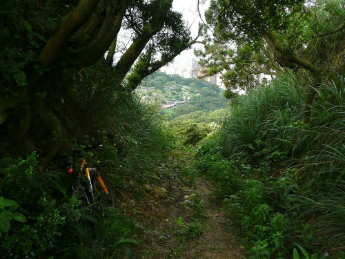 虎頭山 Crossing the ridge ilne in the graveyard route