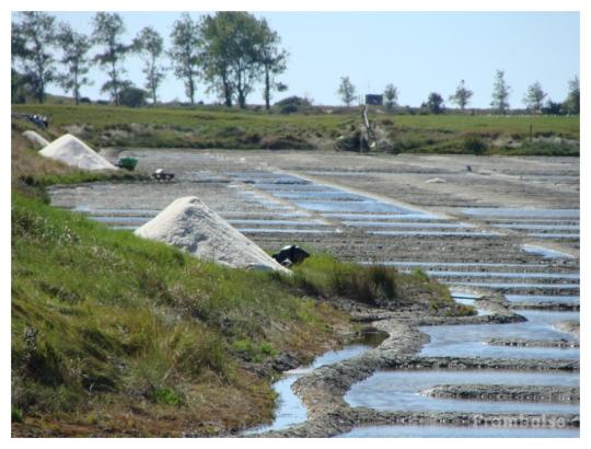 Salines de Millac Les Moutiers en Retz