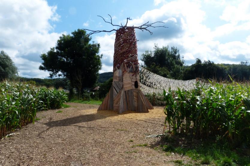 Un cheval, un baobabs....C'est monumental!