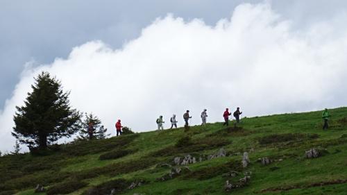 "Le Haut-Giffre" - Mercredi 15 Juin 2016 - Après-midi