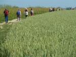 La randonnée du 22 juin à Secqueville-en-Bessin