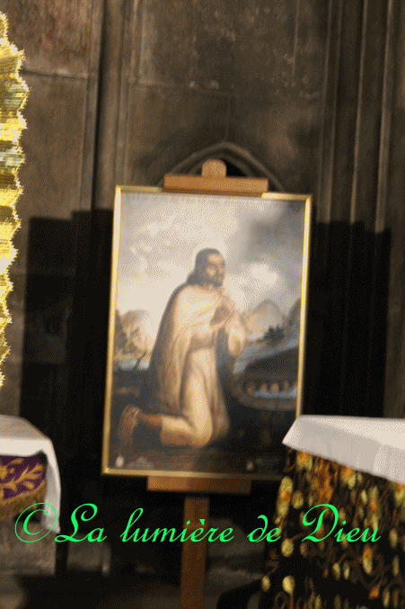 La cathédrale Notre-Dame de Paris