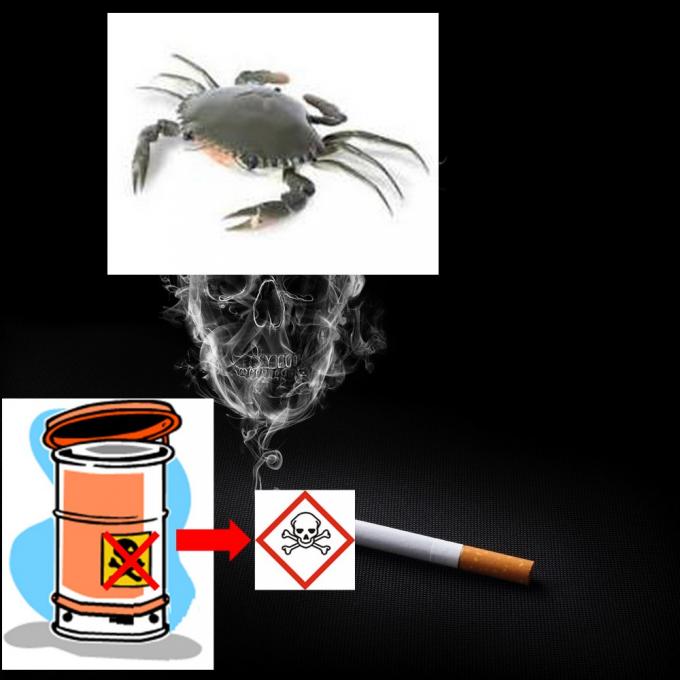 De bonnes ou de mauvaises nouvelles ??