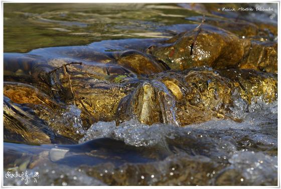 En eaux vives...
