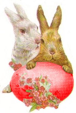 Image27