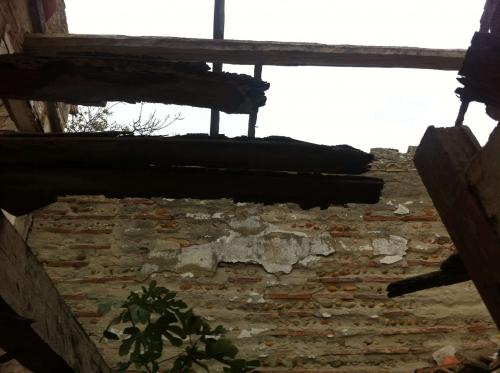 Petit mas ancien destructurée - Camargue