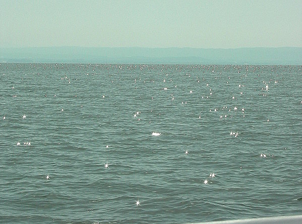 Photo 024