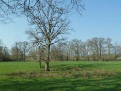 La randonnée du 26 mars à Argences