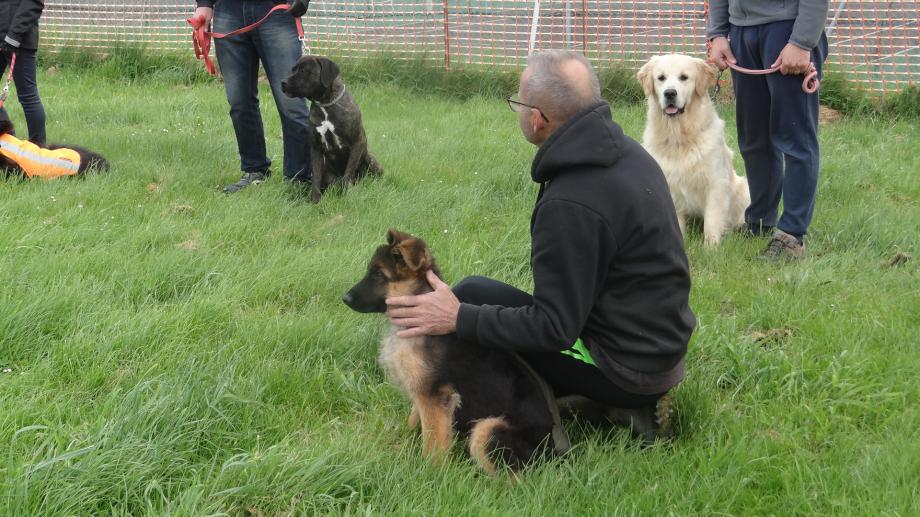 Ugo le chien qui ne parle pas français e même Allemand