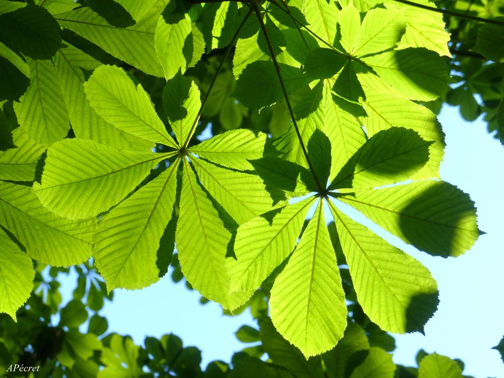 Annick dans sa ville