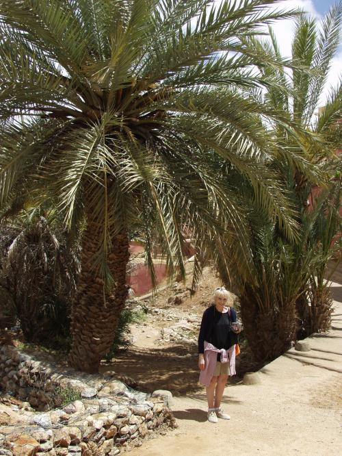Jacqueline à Agadir