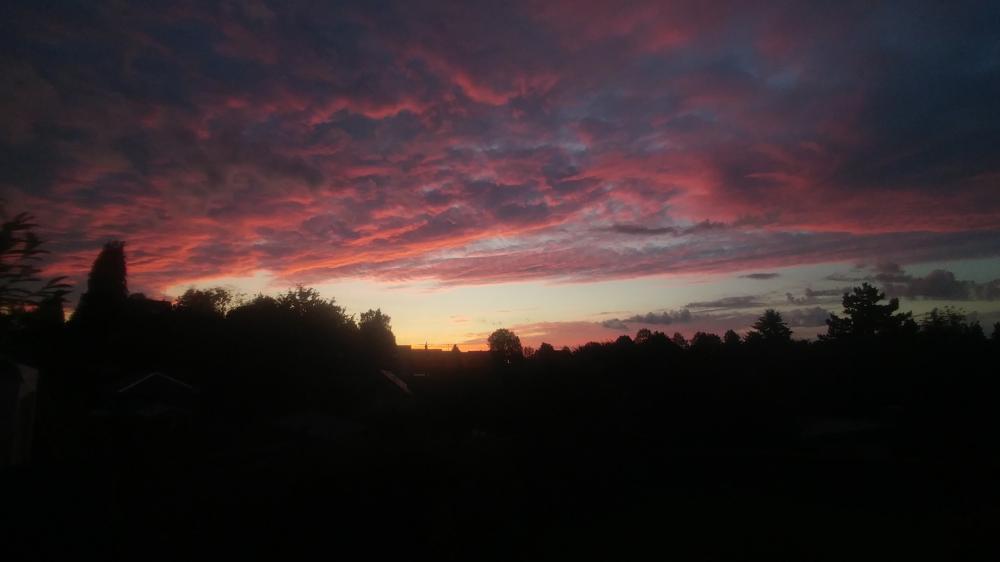 Peaceful Day at Home on July 16th 2024