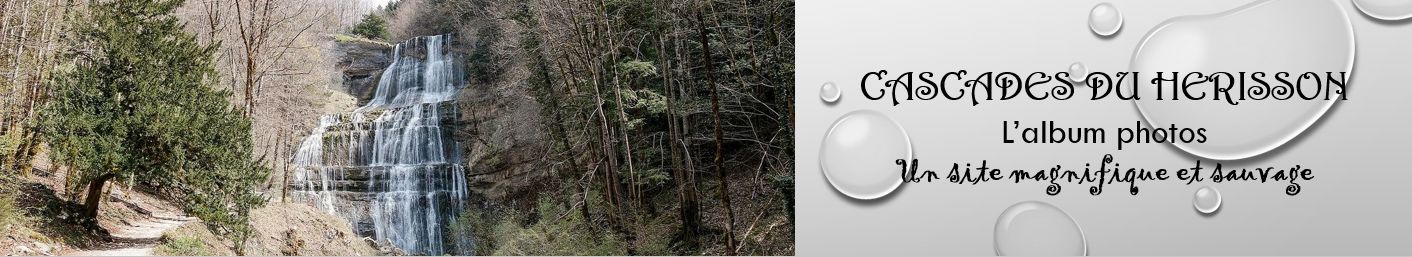 Un clic pour ouvrir l'album photos