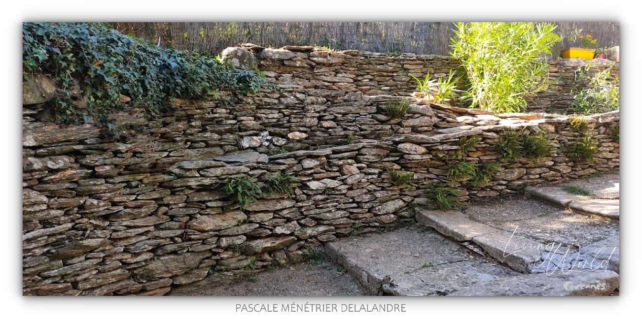 Bancels ou Faïses en Cévennes