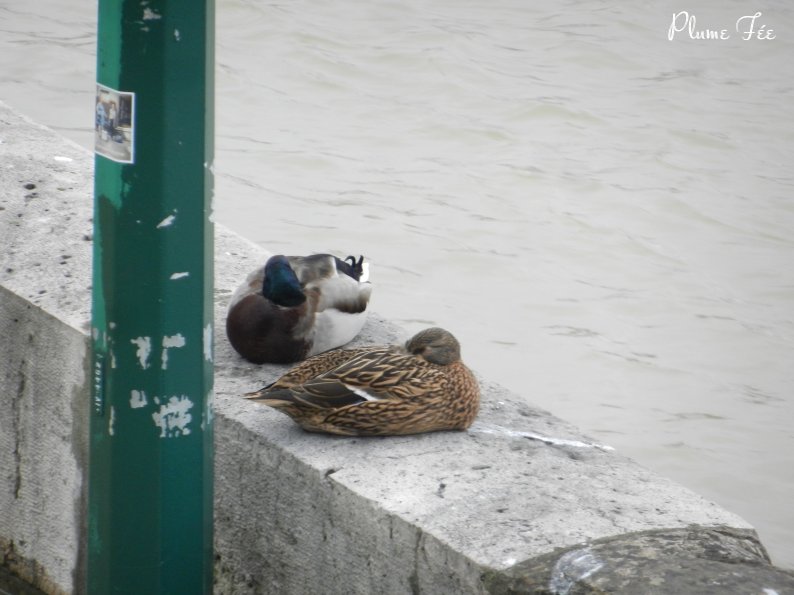 Image046.jpg
