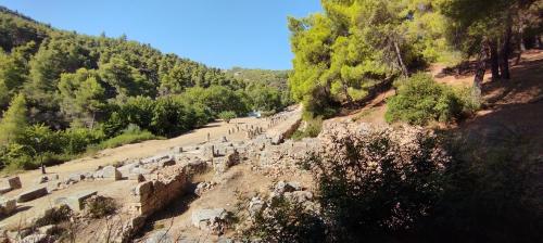 Balades au pluriel !