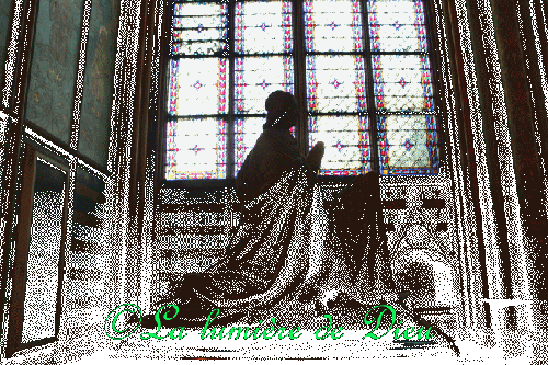 La cathédrale Notre-Dame de Paris