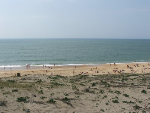 DSCF4113.JPG