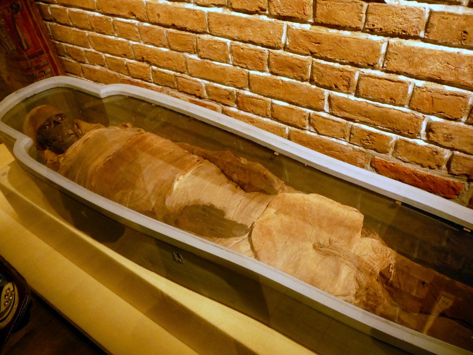 Le grand Musée de Picardie