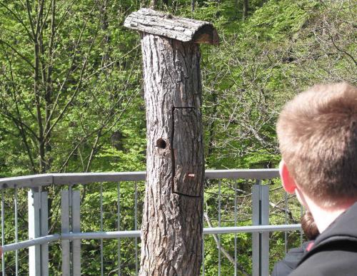 SCHLADEN 2016 (c)