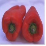 poivron rouge