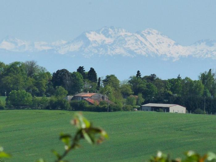 Département de la Haute Garonne