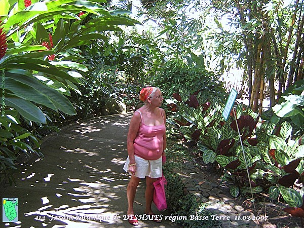 114-GUADELOUPE--6---20---03---2007.jpg